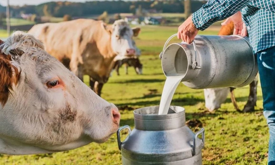 Asgari ücret yükseldi deyip süte zam yaptılar: Market raflarına yansıyacak mı?