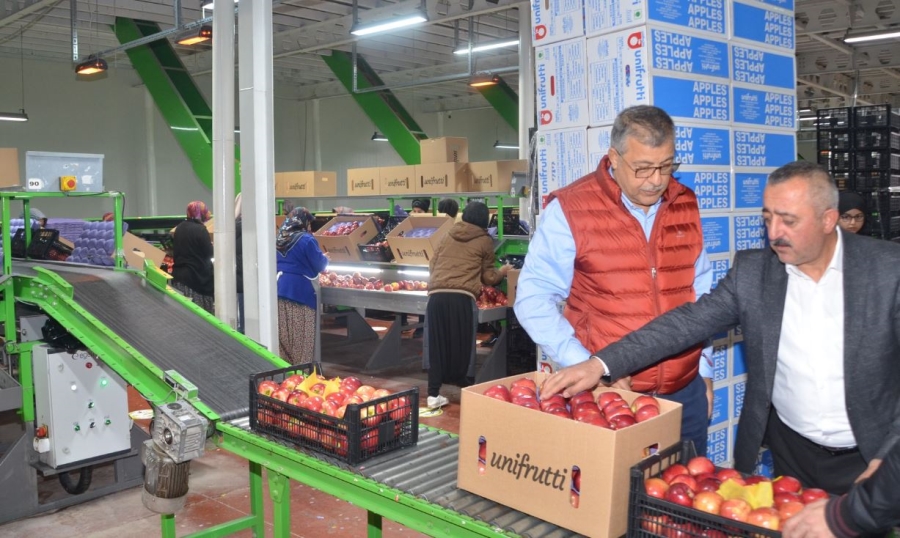 Niğde üretiyor dünya tüketiyor