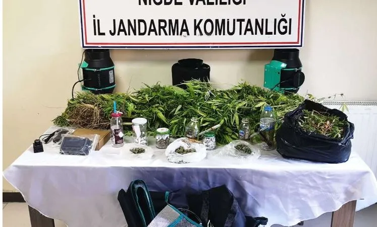 Niğde’de evini kenevir tarlasına çeviren şüpheli yakalandı