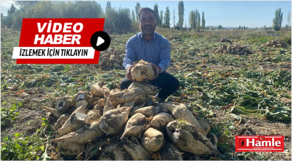 Hüsniye Köyü’nde pancar üreticilere dertli!