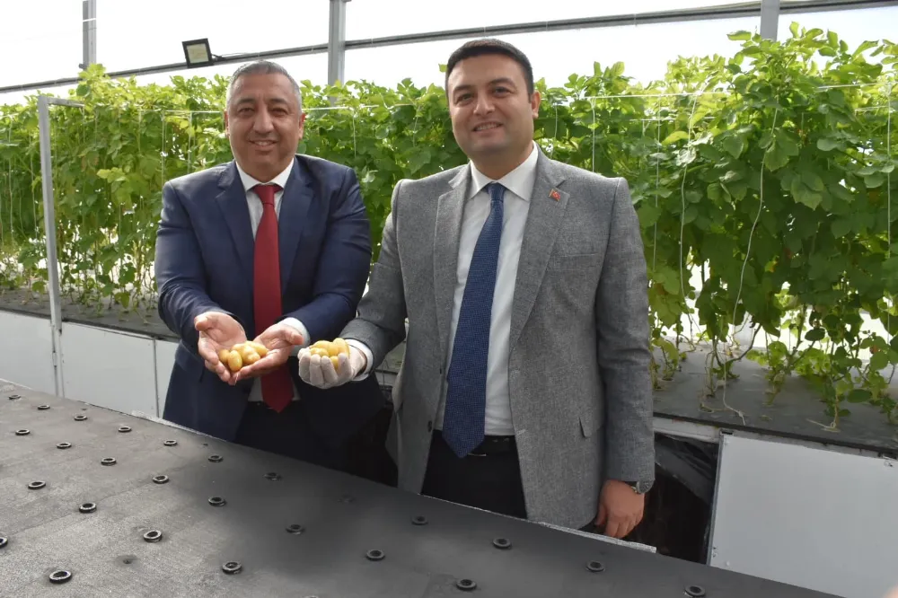 Başsavcı Süren Patates Araştırmayı Ziyaret Etti