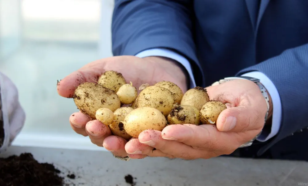 Niğde Patates Araştırma Enstitüsü Muğla’ya örnek oldu