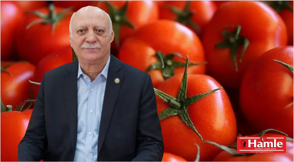 Markette en fazla domatesin fiyatı arttı!