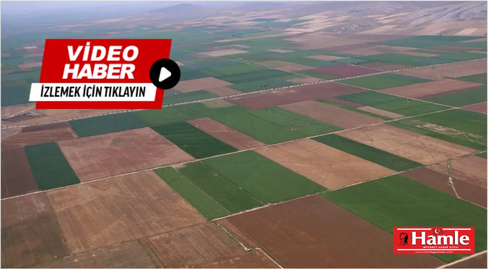 Gürer: Yabancılar verimli arazilere resmen çöküyor