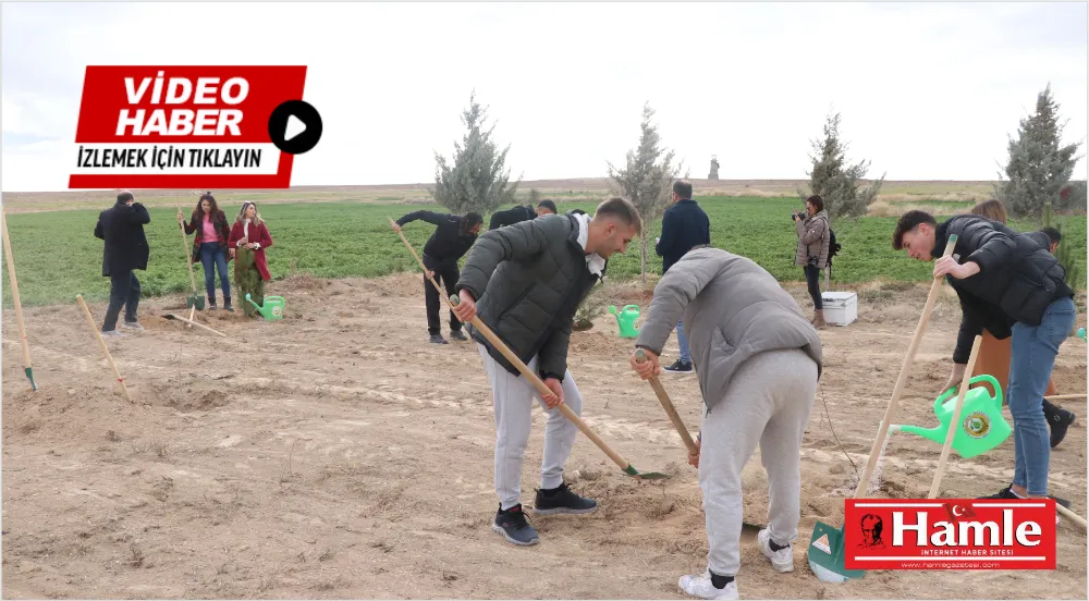 Bor’da bu ormandan bal akacak