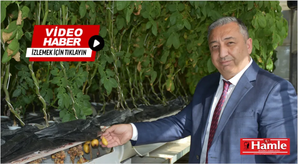 Tarladan Sofraya Yerli ve Milli Patates