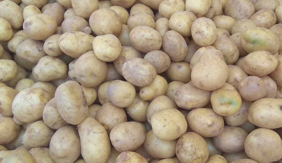 Patates üreticilerine hayırlı olsun! Patateste ihracat kısıtlaması kaldırıldı!