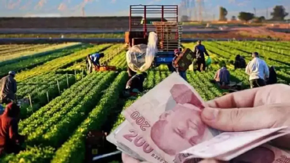 Bu fiyatlar çiftçiyi boncuk boncuk terletecek! Gübre fiyatları gram altınla yarışıyor!