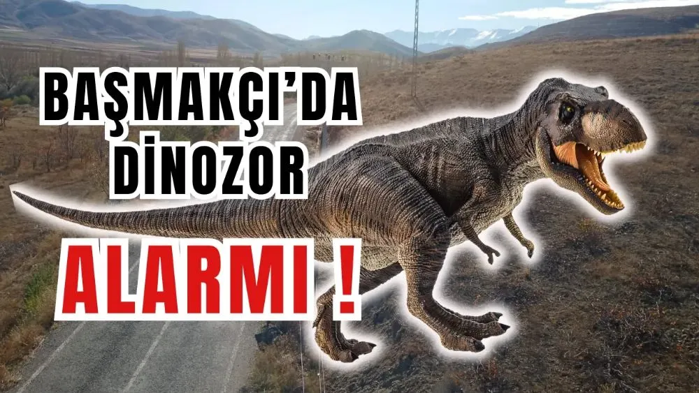 Niğde’de dinozor fosili iddiası fos çıktı!
