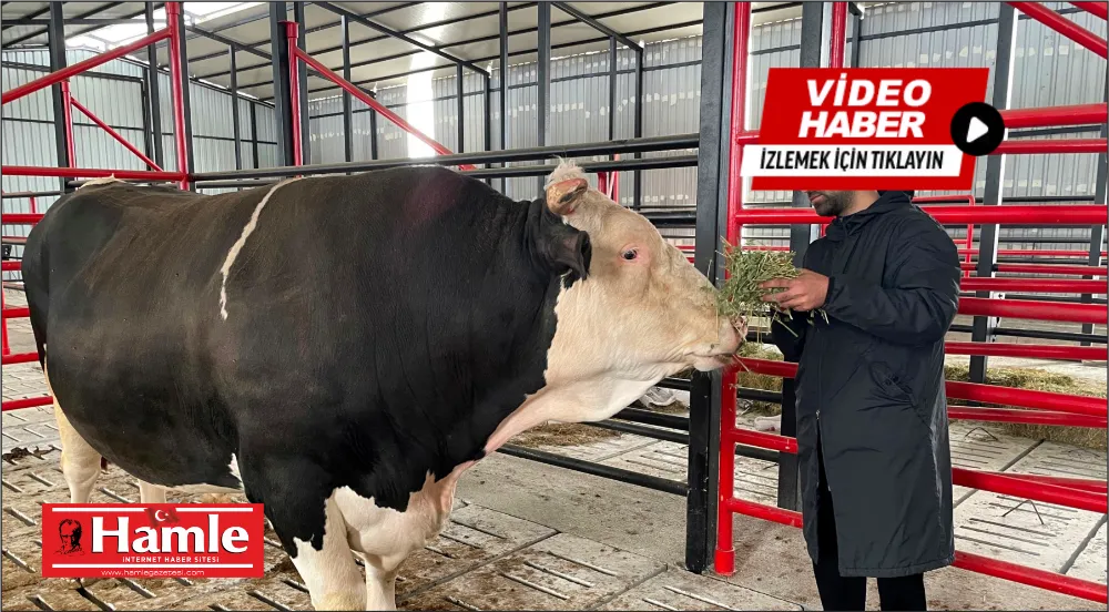 Otomobil fiyatına tosun: Ağırlığı tam 1.6 ton