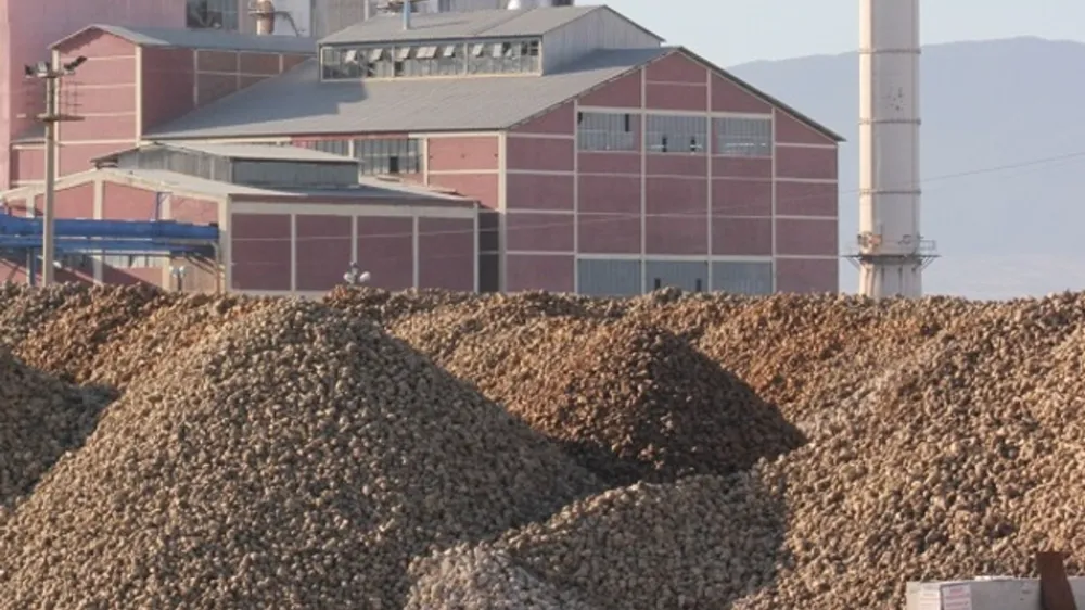 Bor Şeker’in pancar kotası belli oldu