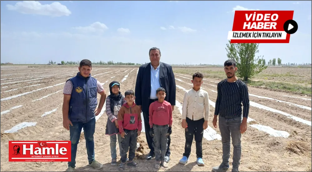 Gürer: Çocuklar tarlada değil, okulda olmalı