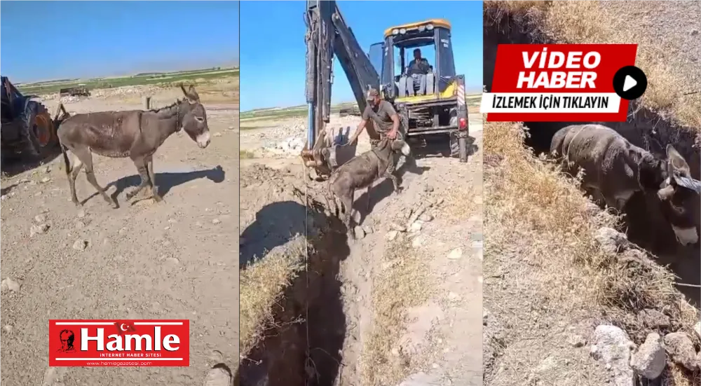 Niğde