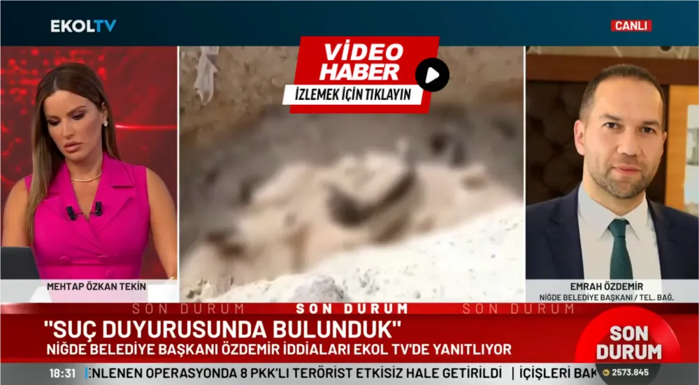 Başkan Özdemir köpekler öldürüldü iddialarına cevap verdi