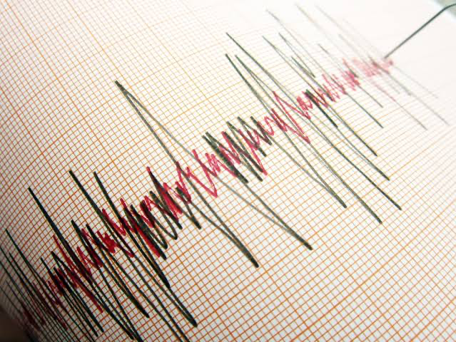 4.5 Şiddetinde Bitlis’te Deprem! 