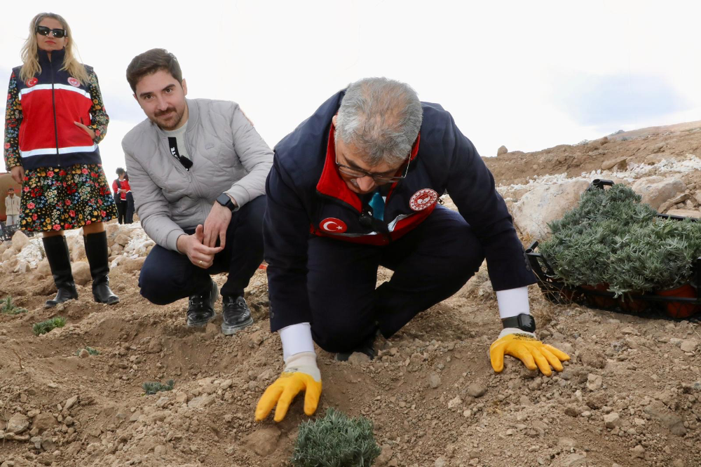 NİĞDE’DE KIRAÇ ARAZİLER LAVANTA İLE ÜRETİME KAZANDIRILDI
