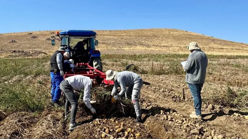 NİĞDE PATATES ARAŞTIRMA ENSTİTÜSÜ’NDE HASAT ÇALIŞMALARI TAMAMLANDI