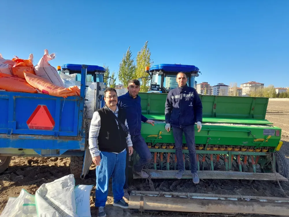 PATATES ARAŞTIRMA ENSTİTÜSÜ YERLİ VE MİLLİ BUĞDAY ÇEŞİDİ TANER’İN EKİMİNİ TAMAMLADI