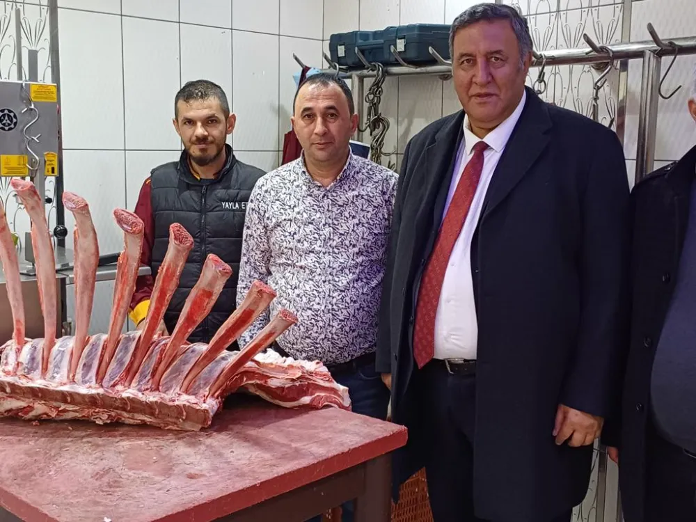 Gürer: “Hayvan varlığımız azalıyor, kişi başı et tüketimi düşüyor”