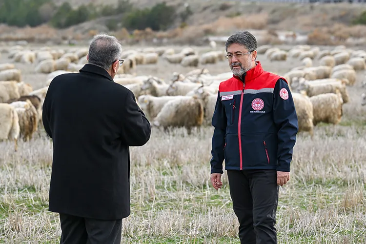 TİFTİĞE KATMA DEĞERLİ DESTEK