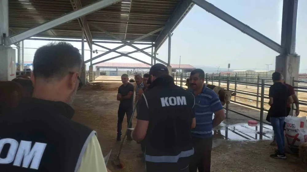 Kurban Bayramı Öncesi Hayvan Hırsızlığı Uyarısı