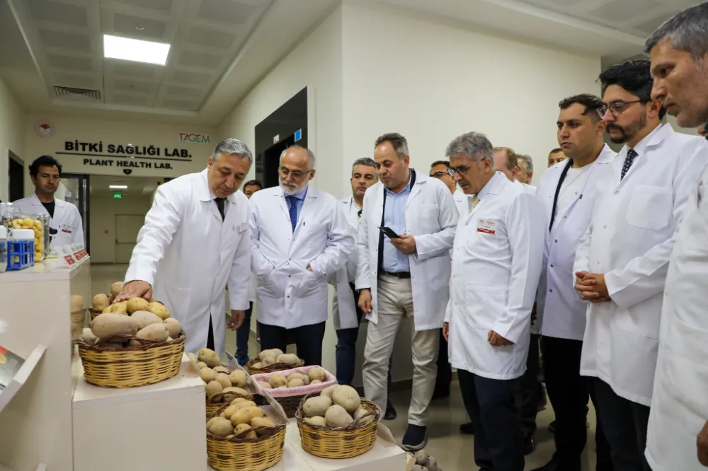 PATATES ARAŞTIRMALARINDA NİĞDE ÖNCÜ ROL ÜSTLENİYOR