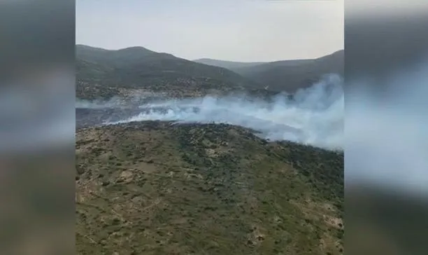 MAKİLİK ALANDA YANGIN: HAVADAN VE KARADAN MÜDAHALE SÜRÜYOR (VİDEO HABER)