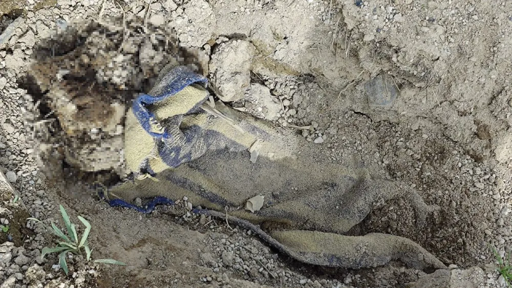 ÇOBAN, BOŞ ARAZİDE BATTANİYEYE SARILI GÖMÜLÜ ERKEK CESEDİ BULDU