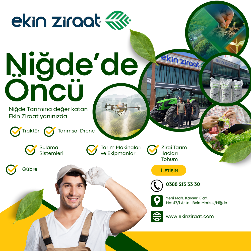 https://www.hamlegazetesi.com/
