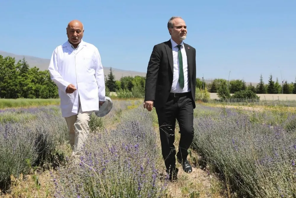 REKTÖR USLU’DAN LAVANTA BAHÇESİNE ZİYARET
