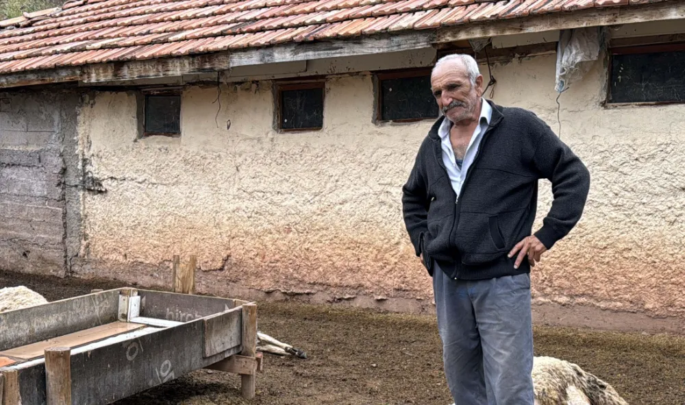 KURTLAR AĞILA SALDIRDI 18 KÜÇÜKBAŞ HAYVAN TELEF OLDU