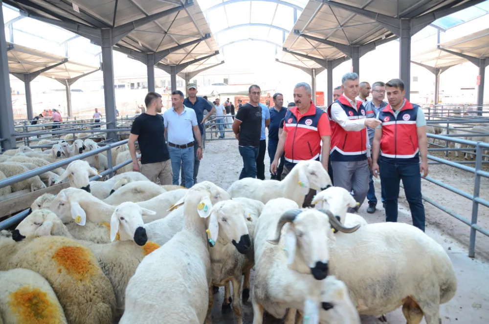 NİĞDE KURBAN PAZARI MERCEK ALTINDA