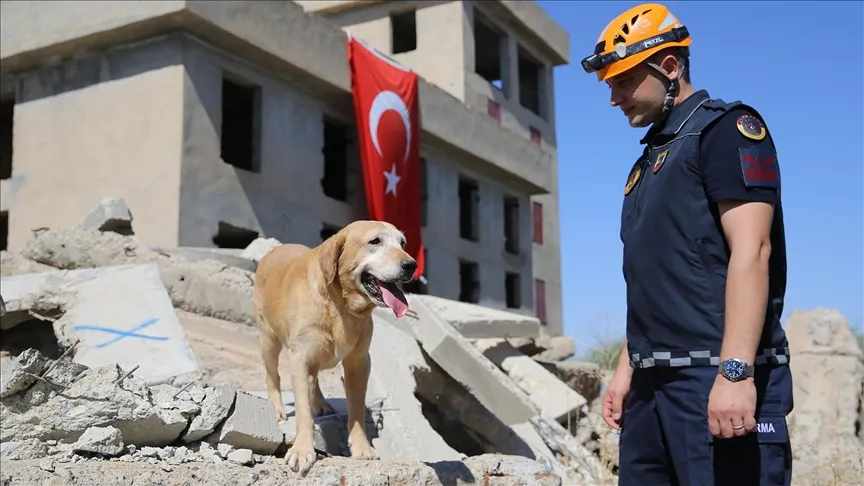 KADAVRA ARAMA KÖPEĞİ 