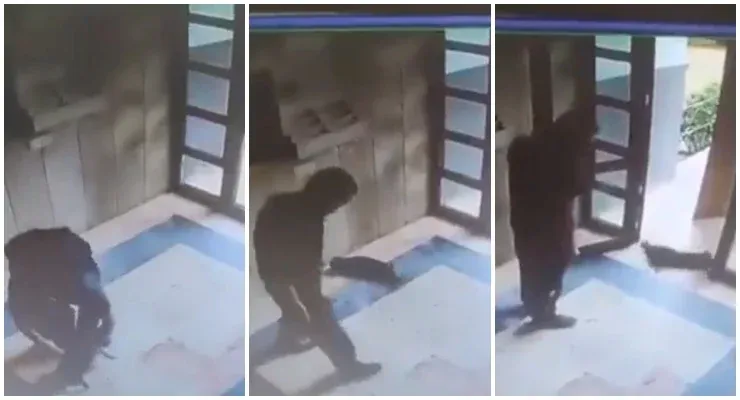 BAŞAKŞEHİR’DE KEDİYİ İŞKENCEYLE ÖLDÜREN BURAK ALAN TUTUKLANDI