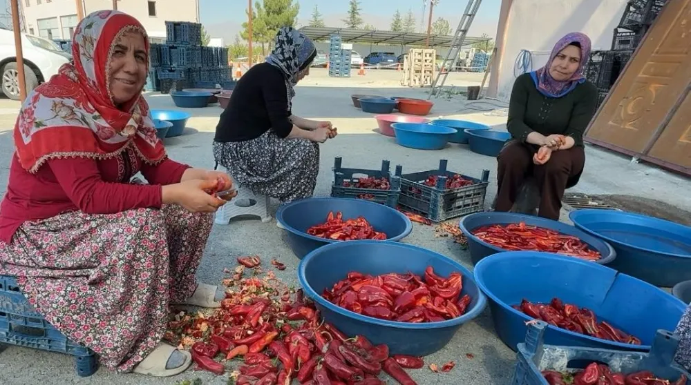 NİĞDE’DE PAZARLAR SALÇA SEZONUNA HAZIR: DOMATES UCUZ, BİBER PAHALI (VİDEO HABER)