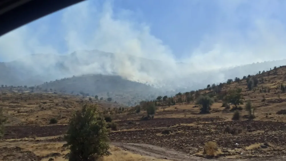 VALİLİKTEN AÇIKLAMA: CAN KAYBI YOK!